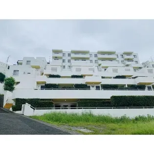 ハイツ向ヶ丘遊園の画像