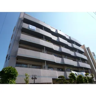 KSドリームウィングの画像