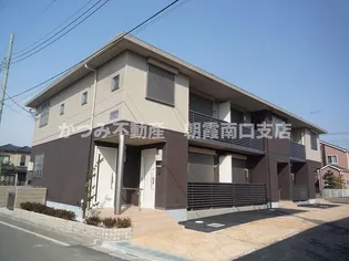プルメリアBの画像