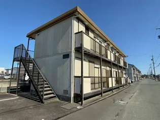 パミールCの画像