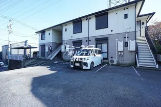 CHERRY BLOSSOM IIの画像