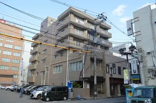 パルナスの画像