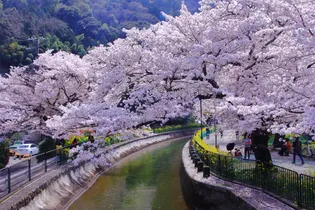 ファインリバーやましな【2階】の周辺