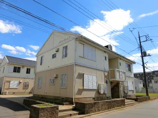 パインコートの画像