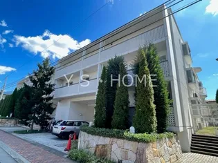 LANAI GRACE KUNITACHIの画像