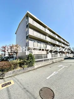 パティエールの画像