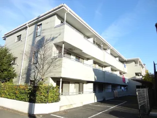 ストゥリーム21の画像