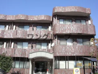 アウレア レックスの画像