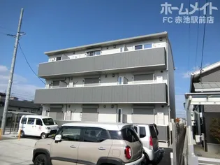 ドマーニの画像