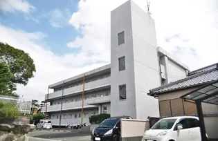 エムコート柏の森の画像