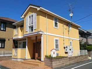 プティ トゥルスの画像