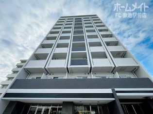 NEUA NARUMIの画像