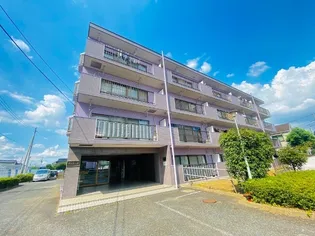 エトワールの画像