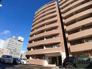 サンティパープの画像