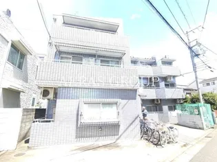 コスモアルタードの画像