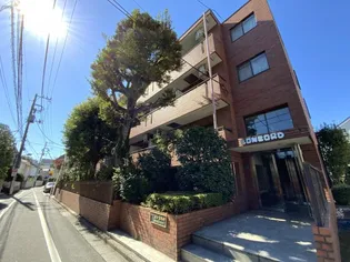 目白コンコルドの画像