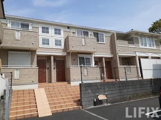 プリムローズの画像