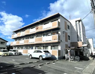 エバンスの画像