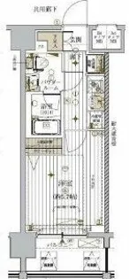 メインステージ東神奈川【6階】の間取り