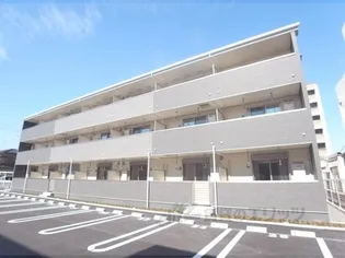 プリムローズIIの画像