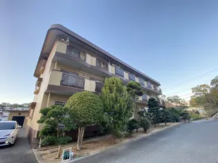 美善ハイツの画像