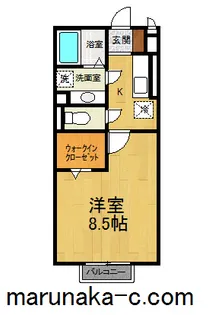 ルインズ・イン・マルヤマA【1階】の間取り