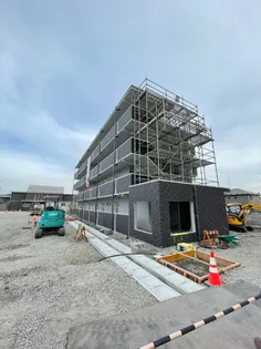 PALM TREE IIの画像