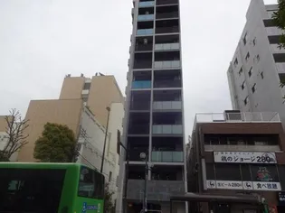 AXAS西大島sta.【8階】の外観