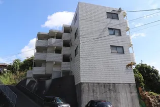 メゾン・ド篠崎【3階】の外観