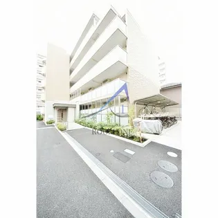 NEOグレイス綾瀬の画像