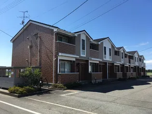 オレンジキッス Iの画像