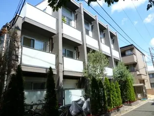 オリーブコートの画像