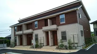 櫂 ハナミズキⅠの画像