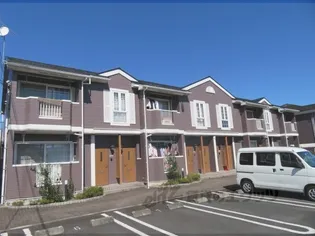 ディモーラBの画像