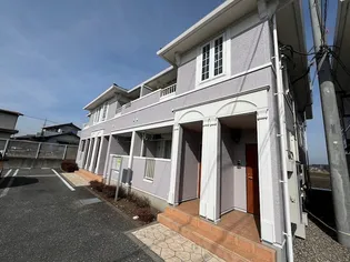 サンフラワーAの画像