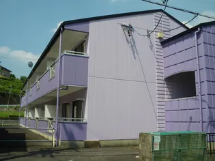 ピアパープルの画像