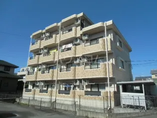 NEW CENTURYの画像