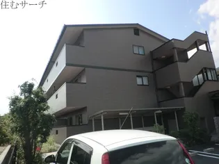 マルベリーヒルの画像