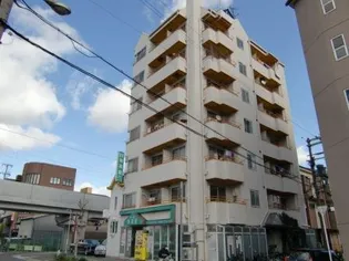 大阪府大阪市平野区加美正覚寺4【マンション】の外観