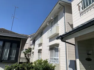 ウッディ6の画像