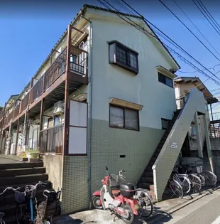 グリーン ソニアの画像