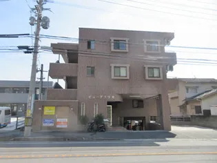 ビューアフリカの画像