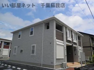 プリムラAの画像