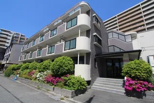 シャンポールかささぎの画像