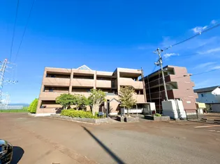 SAKURAの画像