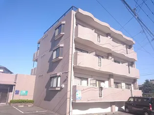 鹿児島県鹿児島市唐湊4【マンション】の外観