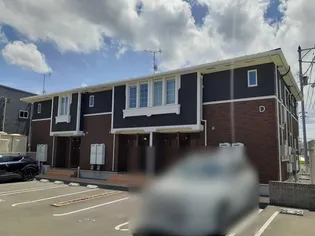 サンパラソルDの画像