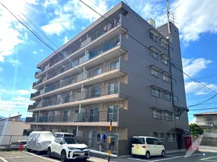 菜根アルザスの画像