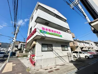 エヴァーグリーンの画像