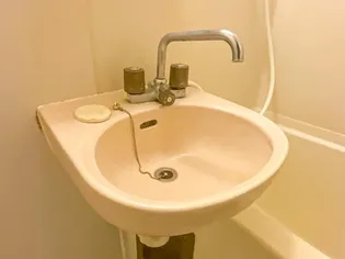 ルピナス467【3階】の内装